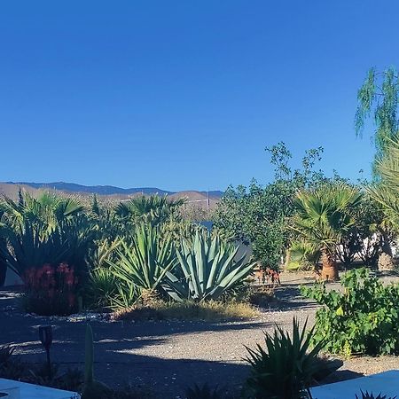Cortijo Oro Verde B&B Tabernas Exterior photo